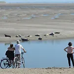 3 100m Berck